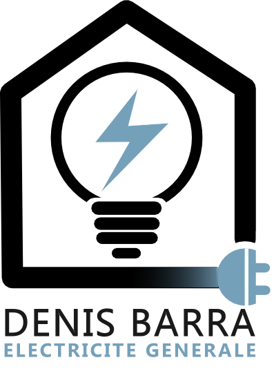 Logo Denis Barra electricien Lyon